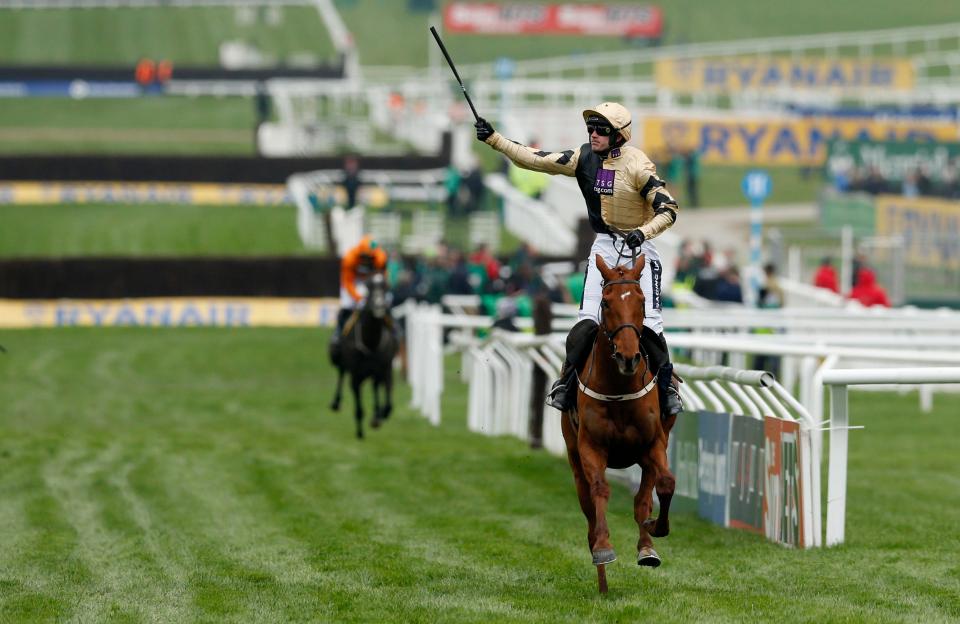  Yorkhill won the JLT at Cheltenham