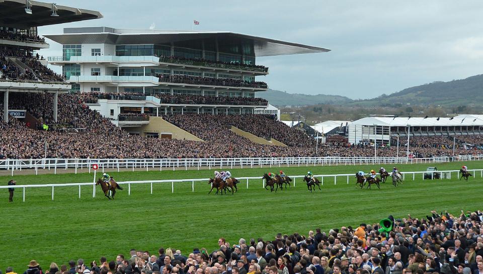  Defi Du Seuil romps home in the Triumph Hurdle