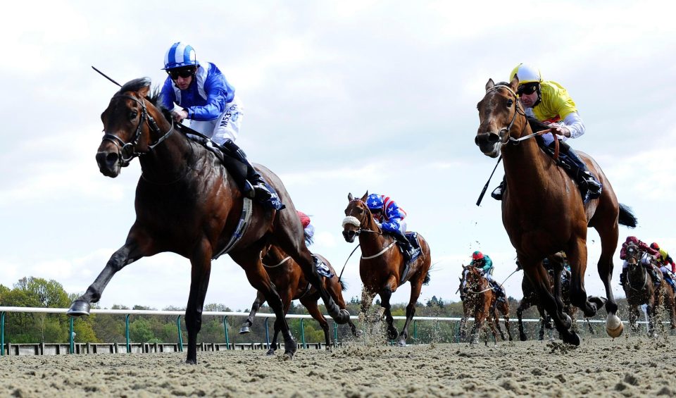  Ertijaal (left) has excelled in Dubai and Crowley got the thrill of riding him this year