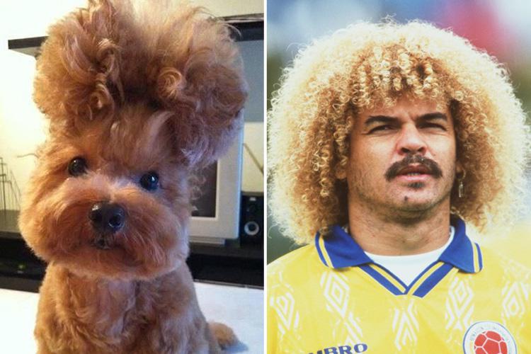  Footie’s Carlos Valderrama cut