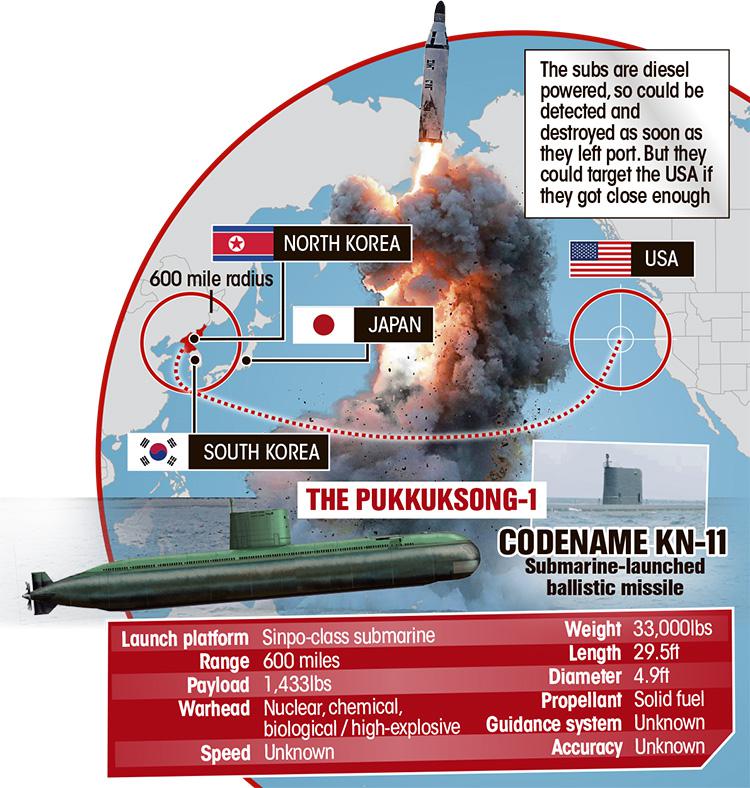  The blast radius of the missiles and their nuclear capability