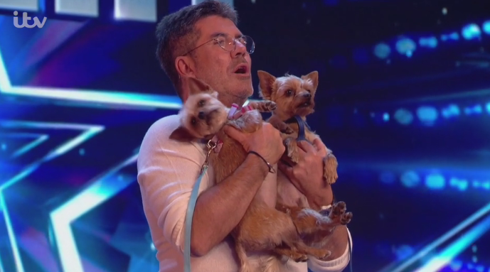 Simon Cowell gave dog yoga a go with his two pooches 