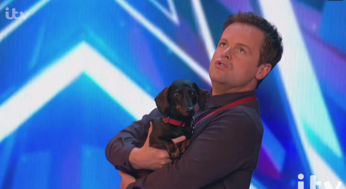 Dec and his adorable sausage dog had a cuddle as he tried the positions 