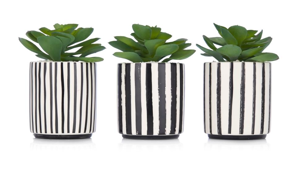  A set of three faux succulents costs £14.50