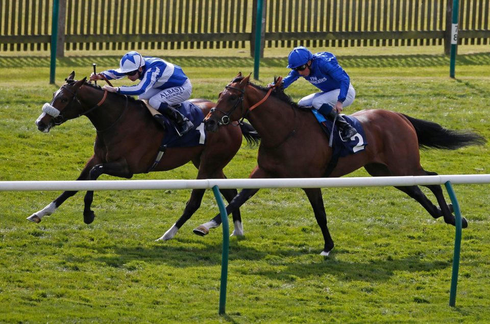  Beat The Bank started off his career with Balding when winning at Newmarket