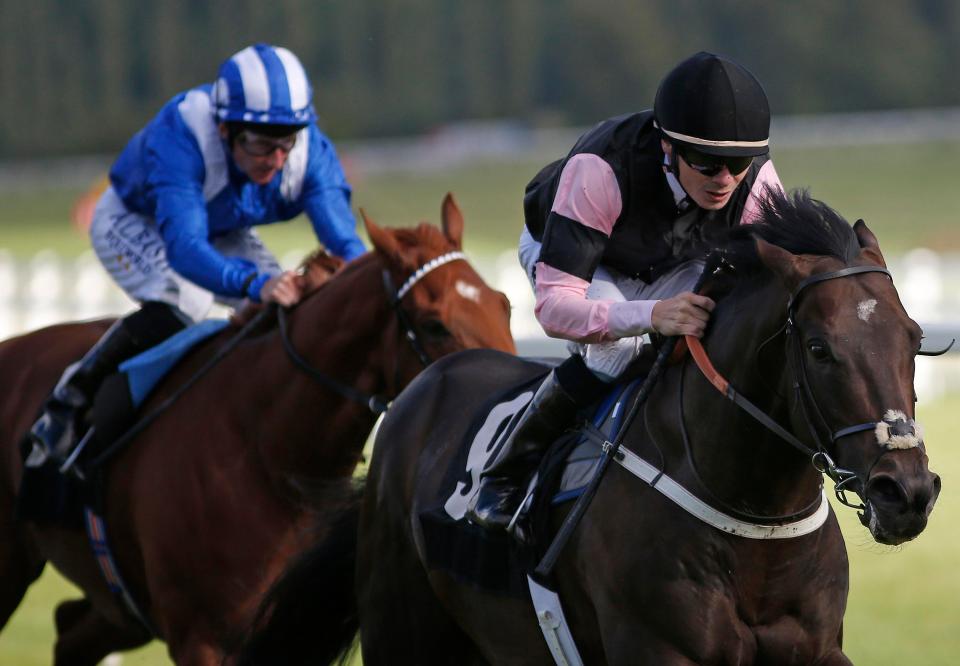  Aclaim is another promising horse for Meade