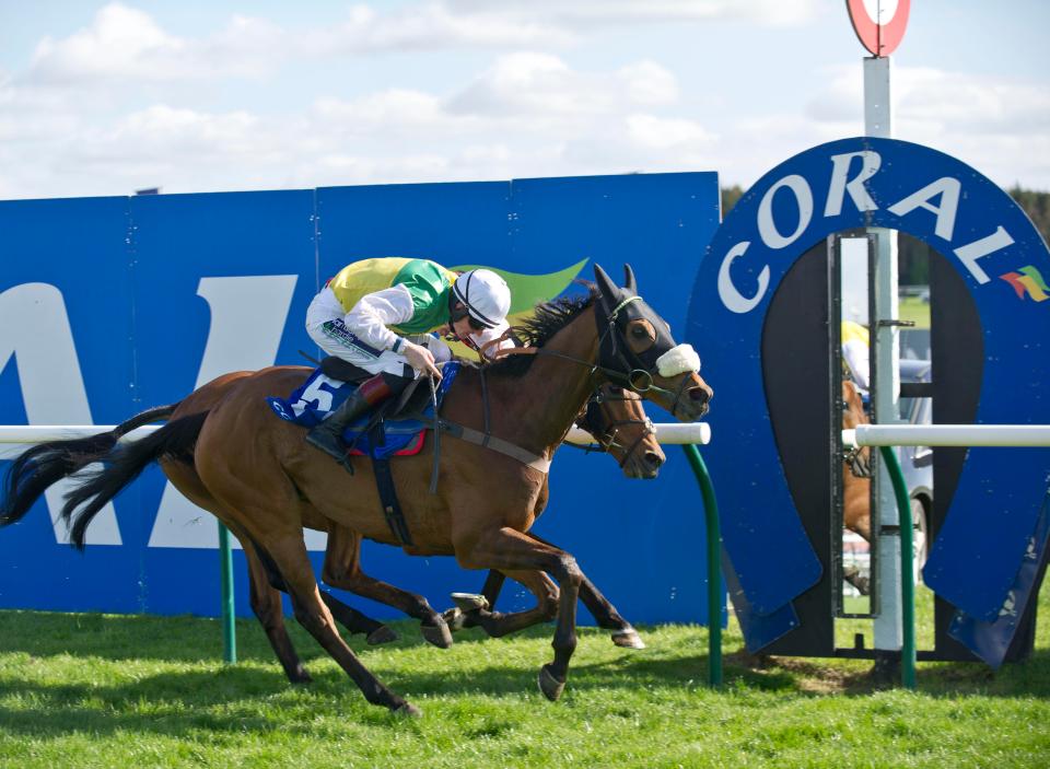  Vicente won his second Scottish Grand National last year