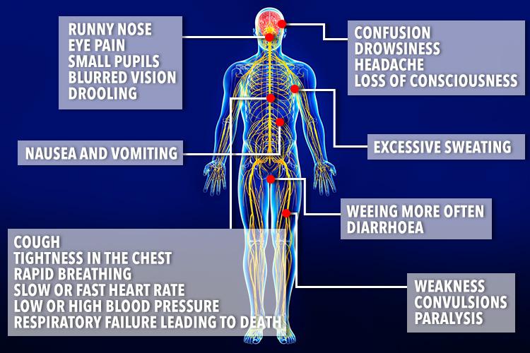  Nerve agents attack the nervous system, triggering a range of nasty symptoms from a runny nose and foaming mouth to seizures and breathing difficulties