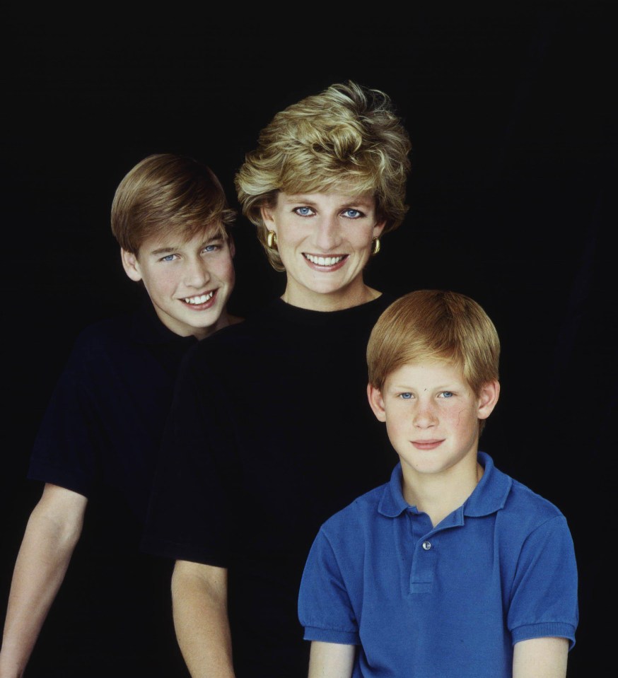 Princes Harry, front, and William with mum in 1995