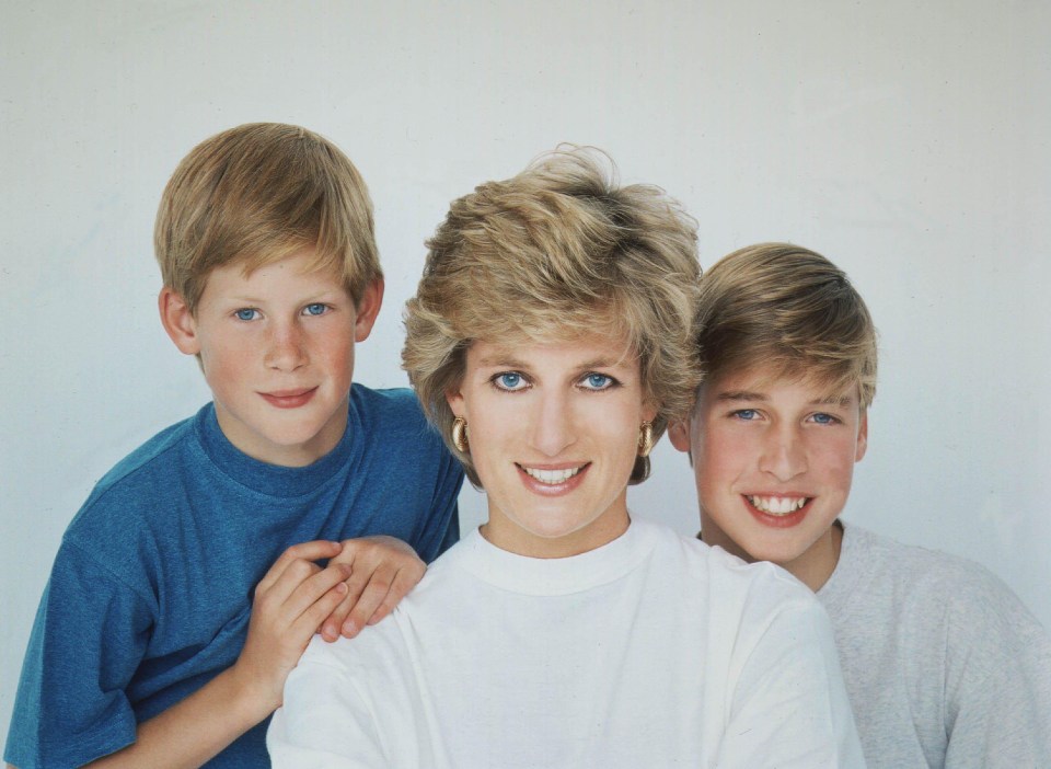 Princess Diana with sons Princes Harry and William in 1995