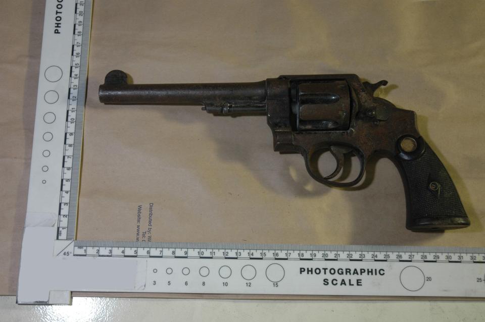  Mercer was a gun-obsessed 16-year-old and used this weapon in the killing