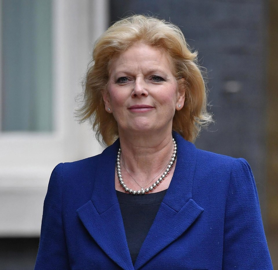 Anna Soubry is part of screeching Tory Remainers