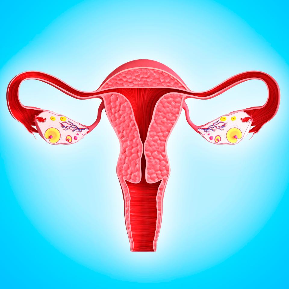  If the tissue surrounding a woman's ovary is not developed properly then a woman is unable to release an egg during her monthly cycle