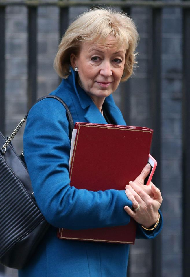  Andrea Leadsom is ­planning to launch a financial torpedo at precisely the people who Mrs May says she is in politics to help