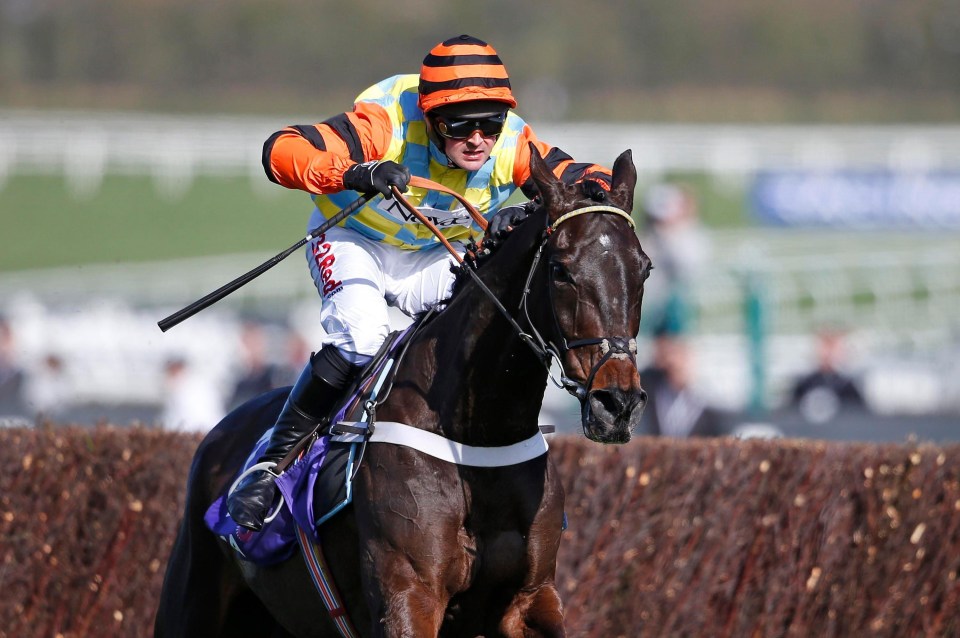 Might Bite winning at the Cheltenham Festival