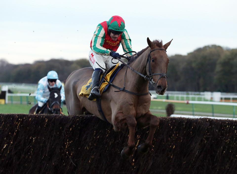  Vieux Lion Rouge ready to tackle Aintree's National fences again