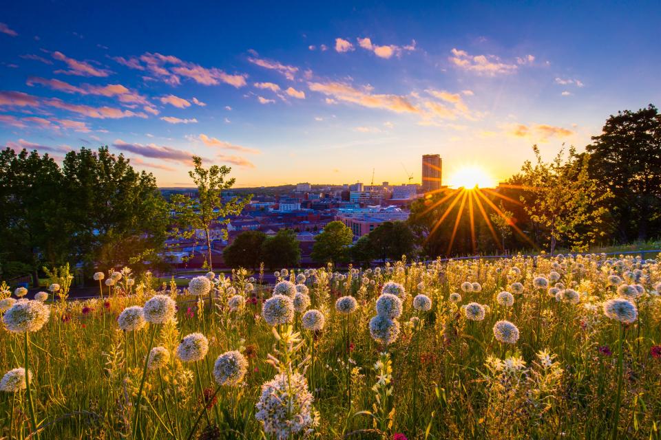  Hay fever typically kicks in towards the end of spring and start of summer