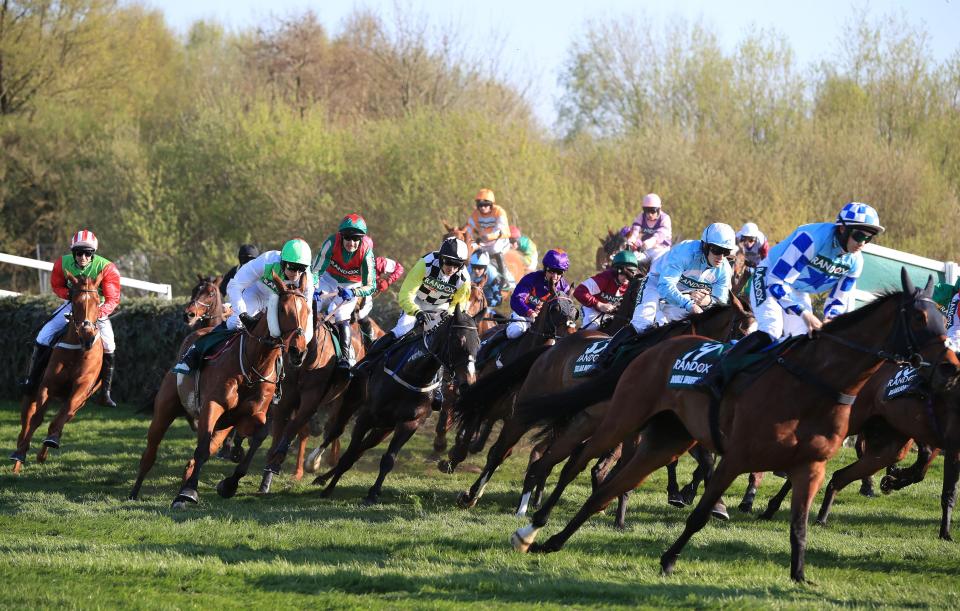  The Grand National is the aim for Goodtoknow