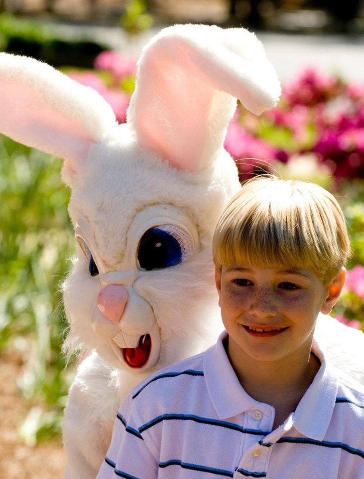 This child looks completely unaware that the bunny behind him is pulling THIS bonkers face