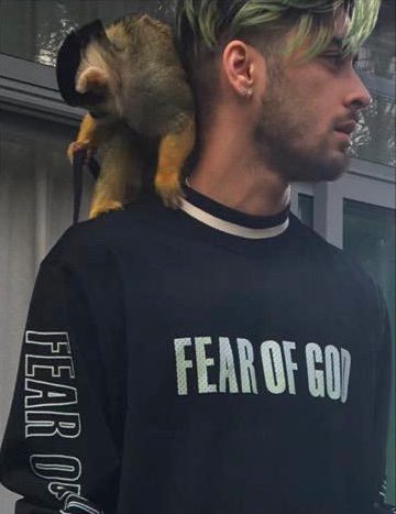 Zayn Malik during house party with a monkey on his shoulder