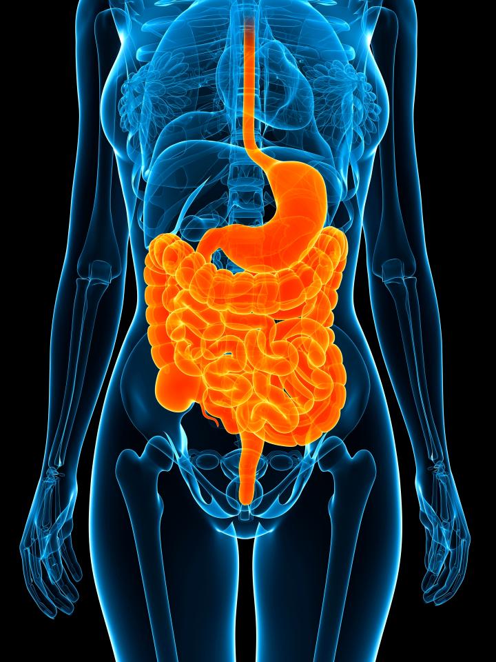  The cause of IBS is not known, but some experts believe it could be linked to an increased sensitivity of the gut