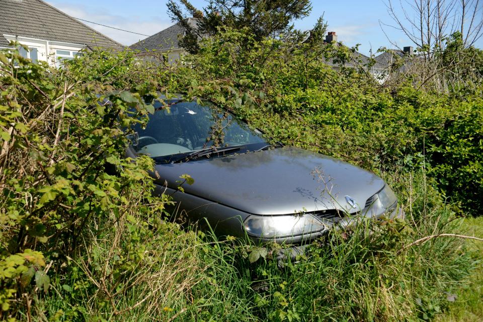  The Renault is almost more hedge than car