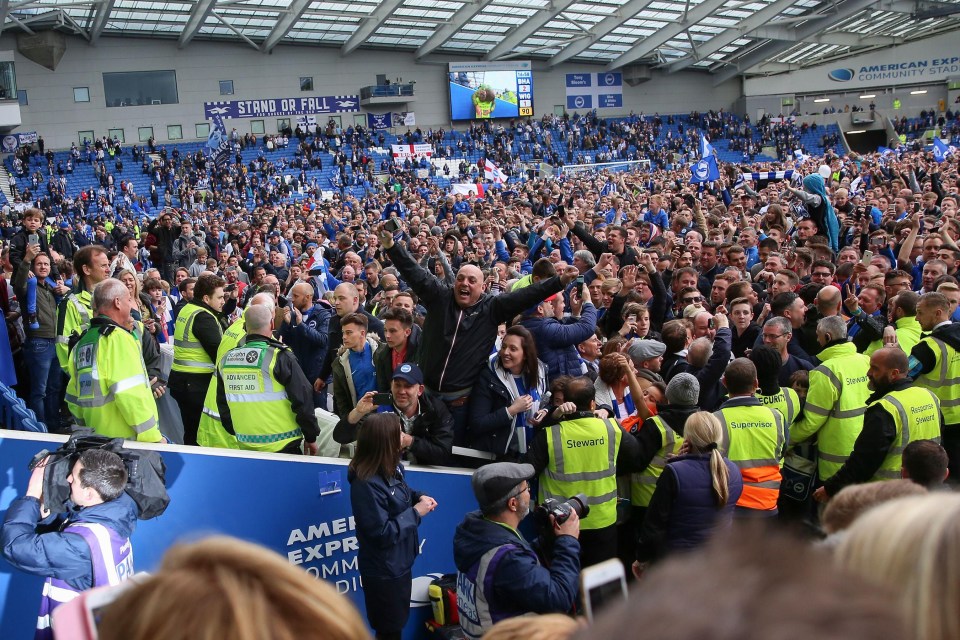 Brighton fans celebrated on the pitch after promotion to the Premier League