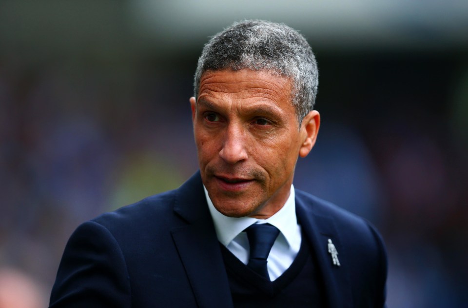 Chris Hughton will have money to spend after Brighton were promoted to the Premier League for the first time