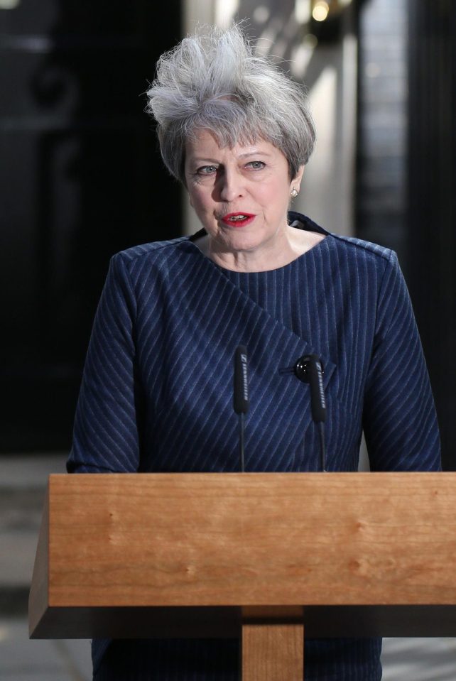  Theresa May stunned the country by calling for an early General Election