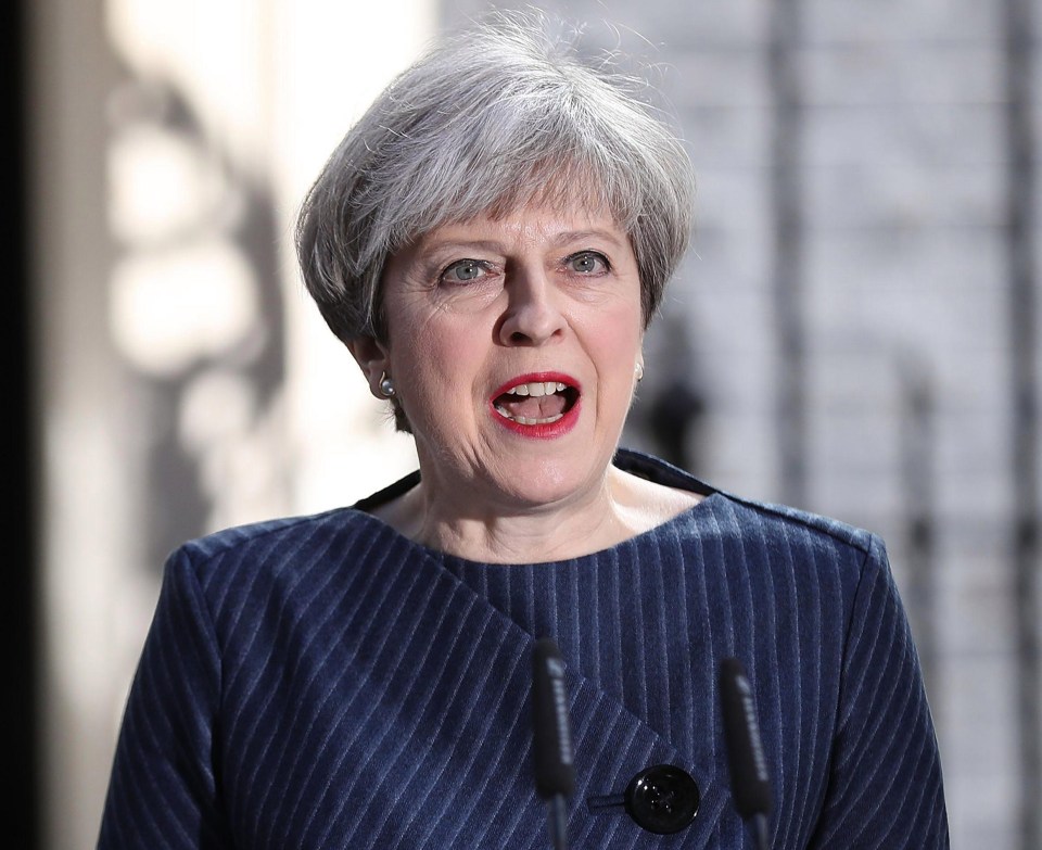 Theresa May has called a snap general election