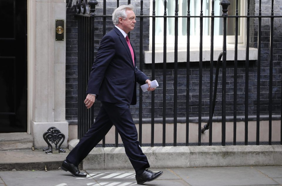  David Davis, Brexit Secretary claimed an increased Tory majority would strengthen the Government's upcoming EU negotiations