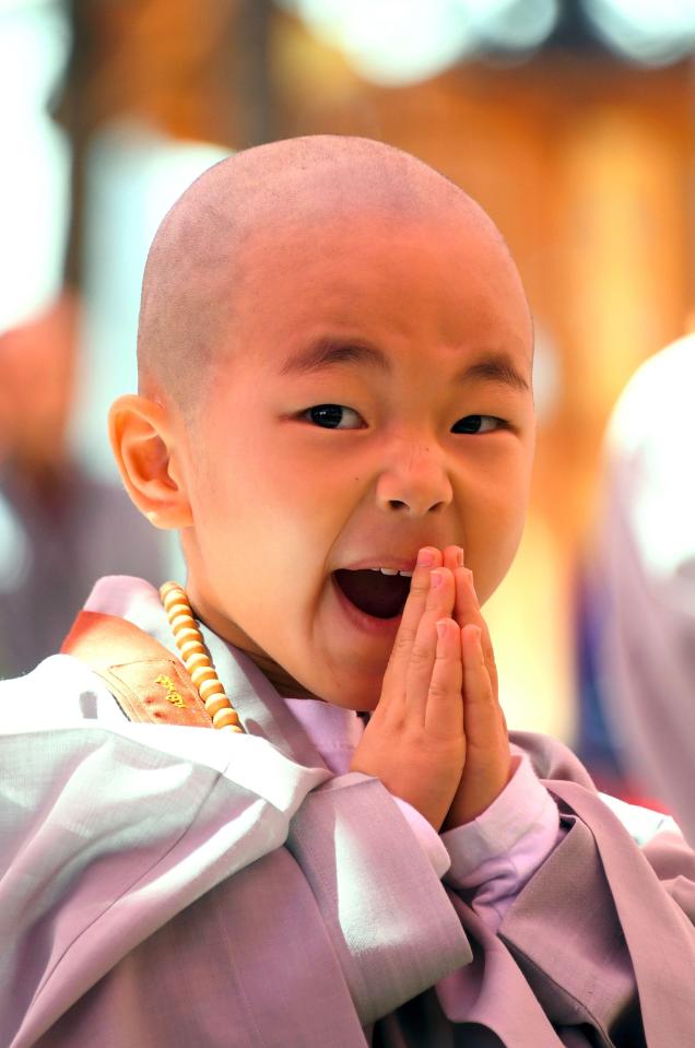 Children Becoming Buddhist Monks