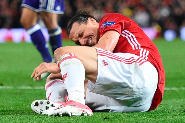 Ibrahimovic's entire career is now at risk following the horror setback