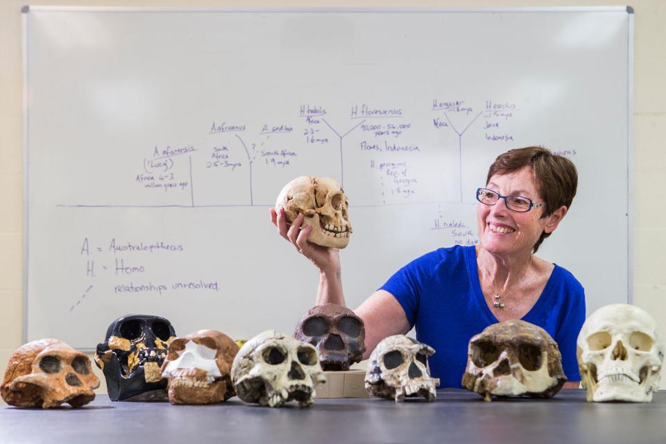  Dr Debbie Argue holds a reconstructed Homo Floresiensis skull