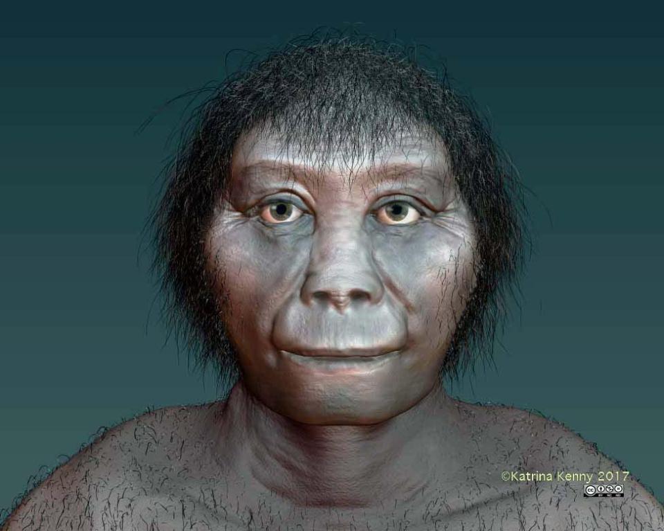  Ancients hobbits who once lived in Indonesian most likely evolved from an ancestor in Africa and are not a dwarf descendant of Homo erectus as has been widely believed