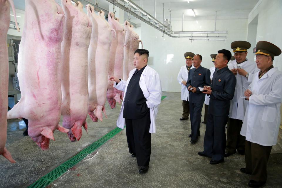  Kim Jong-un is certainly no stranger to the odd porky