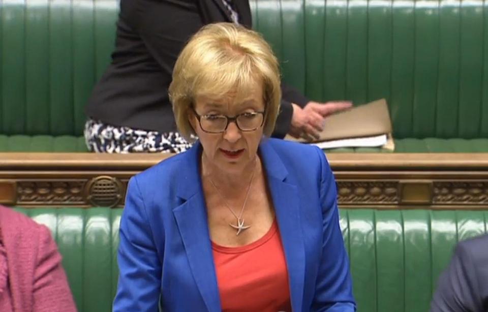  Andrea Leadsom insisted ministers were committed to taking action on dirty air