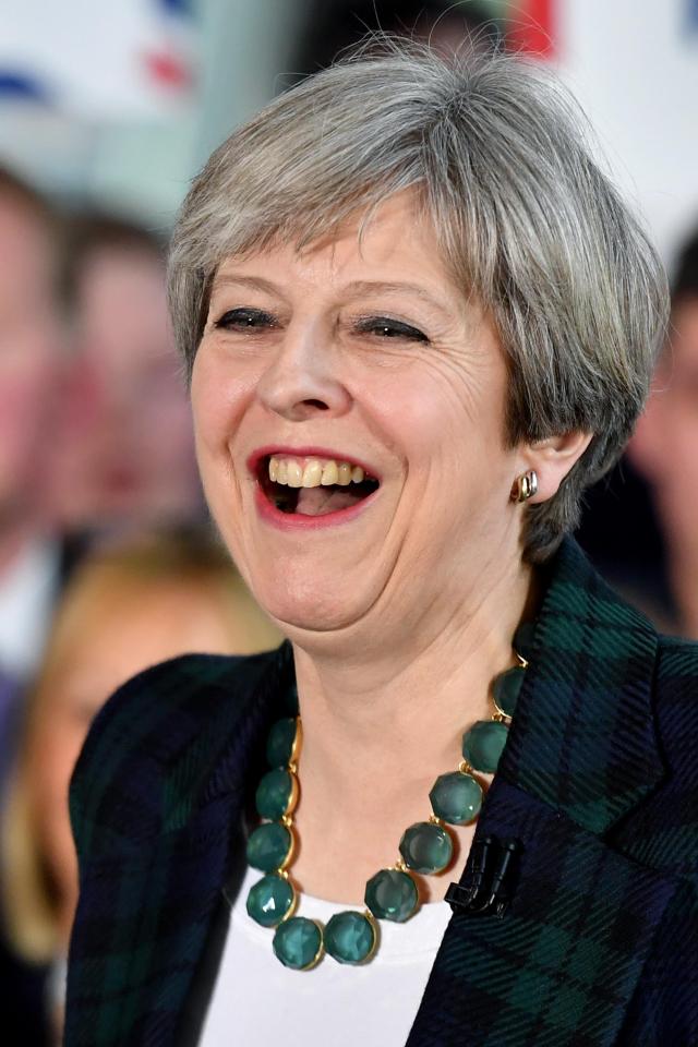  Top of the polls . . . Theresa May was voted most popular than any PM in the past forty years