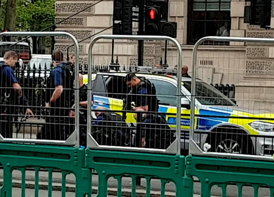  Officer pounce on a terror suspect while terrified tourists ran in fear in central London yesterday