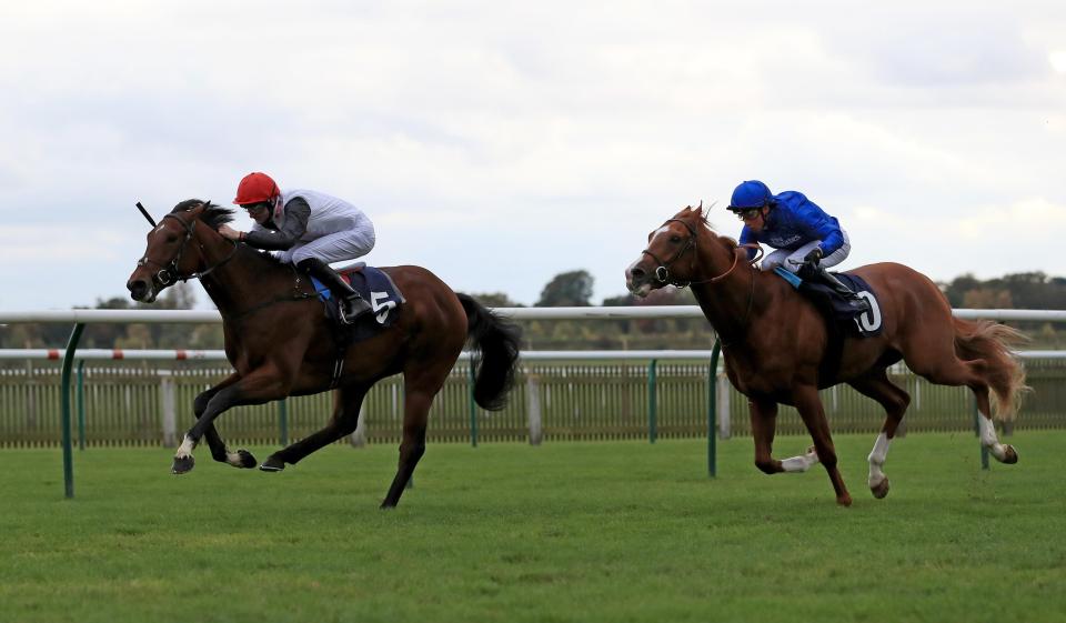  Cracksman (left) will have one more start before the Derby