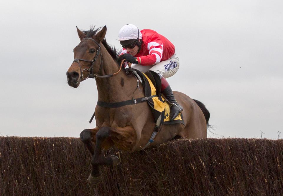  Coneygree to clash with Cue Card at Wetherby