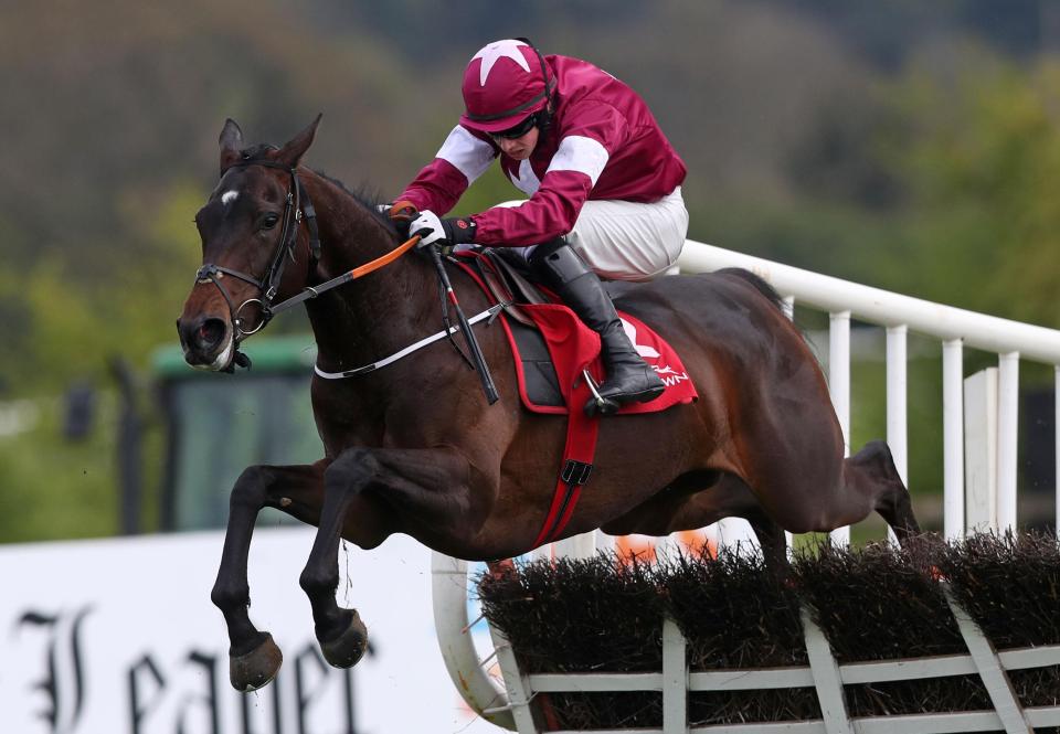  La Bague Au Roi would come up against Apple's Jade in the Mares' Hurdle