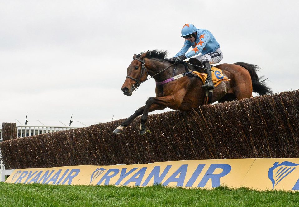  Un De Sceaux was brilliant at Cheltenham