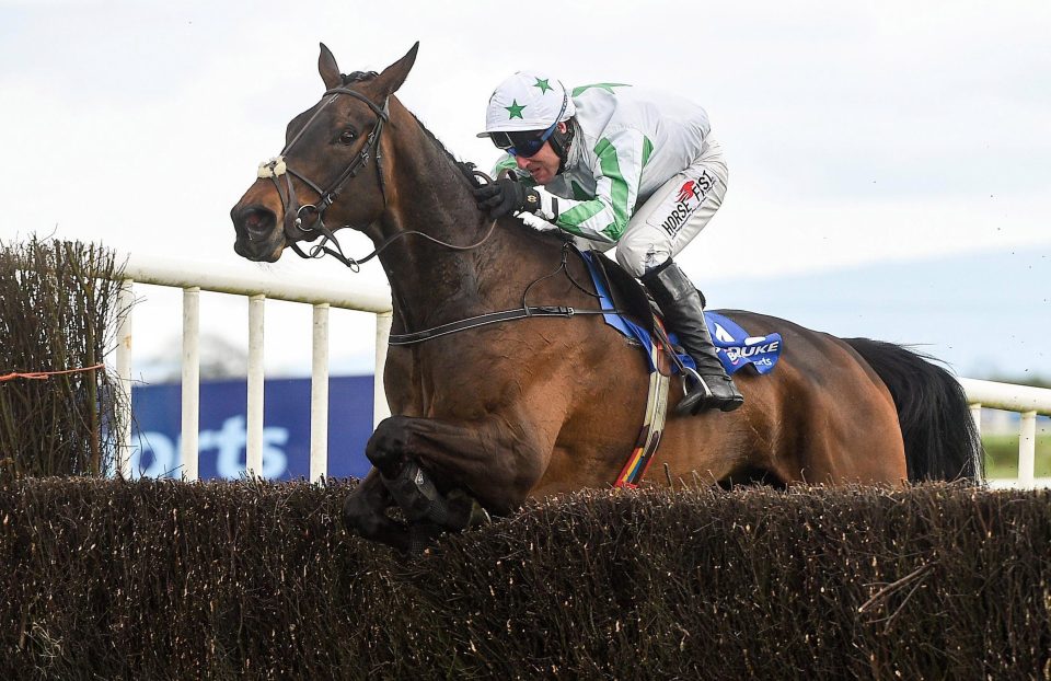  Our Duke was an impressive winner of the Boylesports Irish Grand National