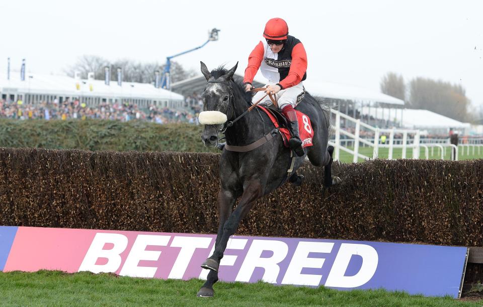  Saphir Du Rheu heads Nicholls' team