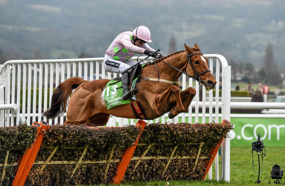  Annie Power's absence also blew the hurdling division wide open