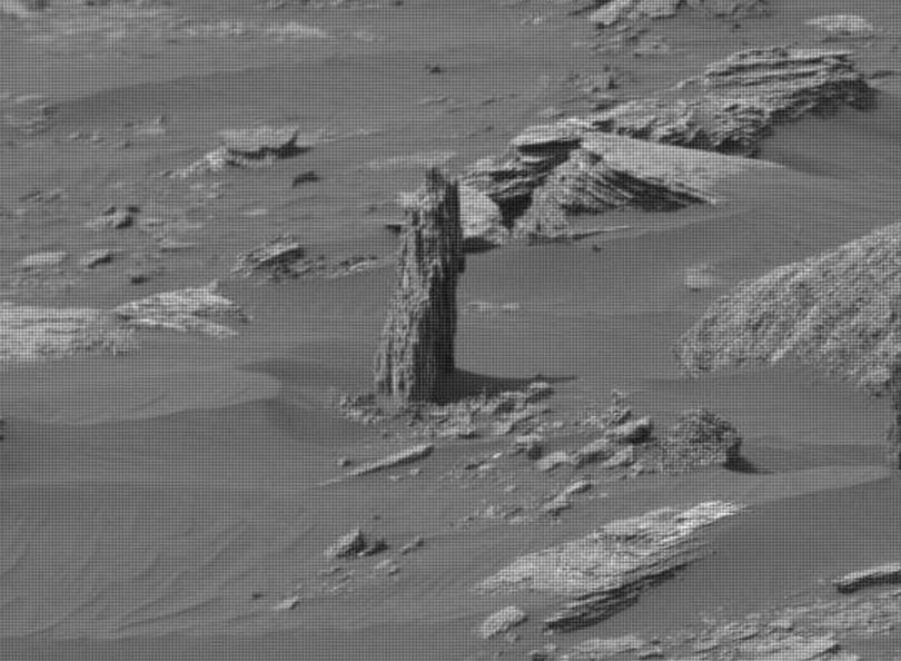  A close-up of the strange object, which resembles a petrified tree stump