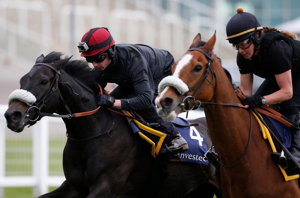  Horseplay (left) worked well at Epsom