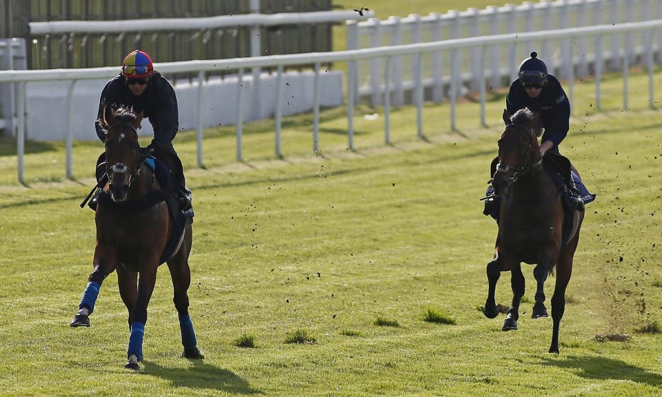  Cracksman (left) is the favourite for the Derby