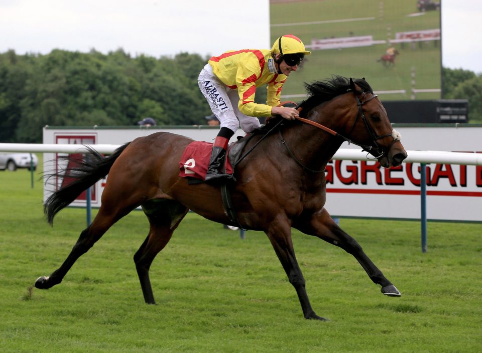  Harry Angel burst onto the scene in the Sandy Lane Stakes 12 months ago